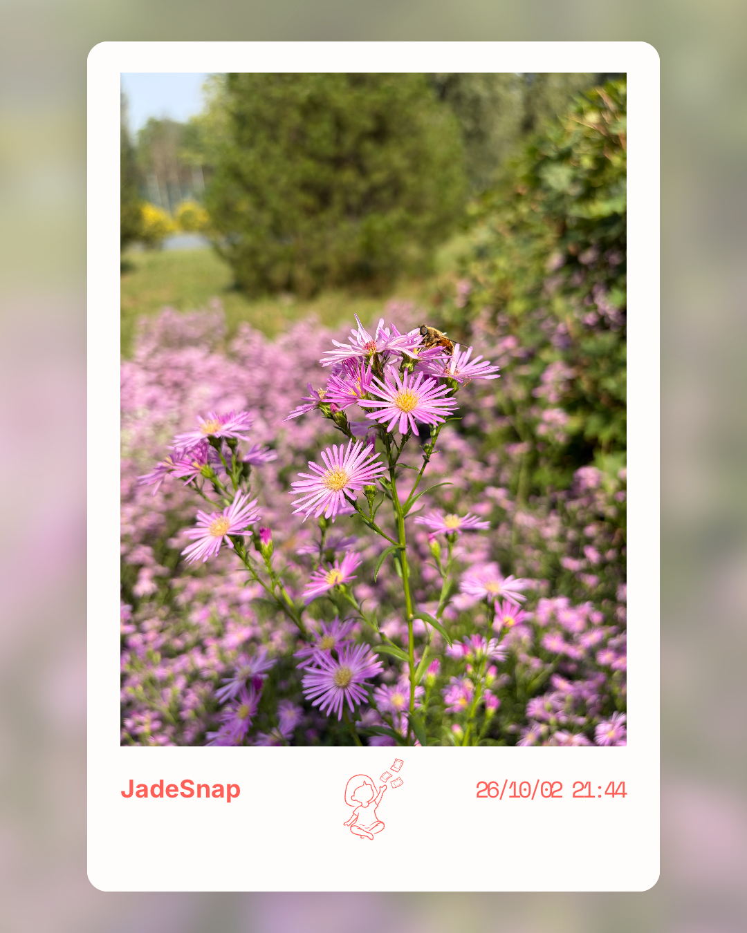玥记 JadeSnap：把日常照片做成照片卡、拼图与画册